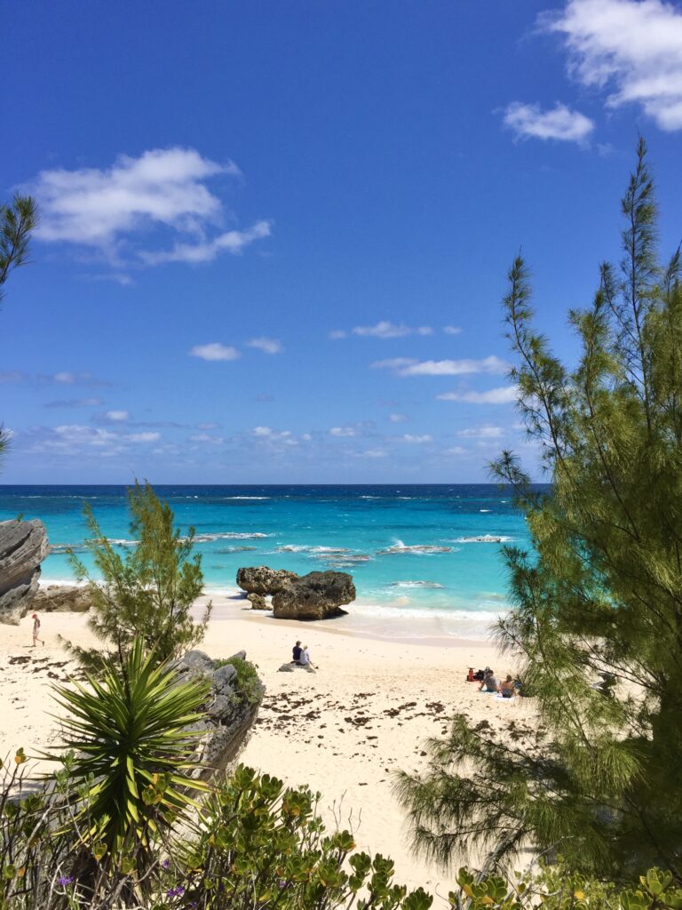 A sunny tropical beach with turquoise water, soft white sand, scattered rocks, and green plants in the foreground. A few people are relaxing under a blue sky with clouds—classic Bermuda Beaches scenery.