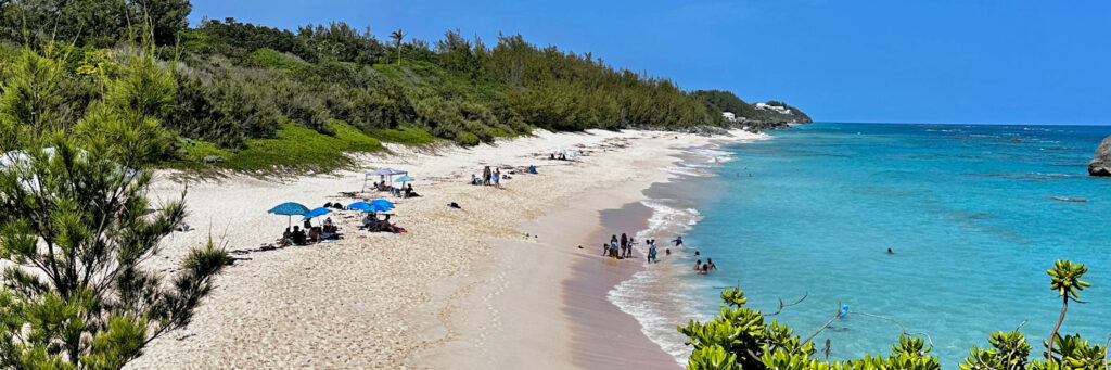 A scenic beach with turquoise water, scattered beach umbrellas, and people relaxing on the sand—one of the true Natural Wonders of Bermuda. Lush green vegetation lines the shore under a clear blue sky as some swim in the inviting sea.