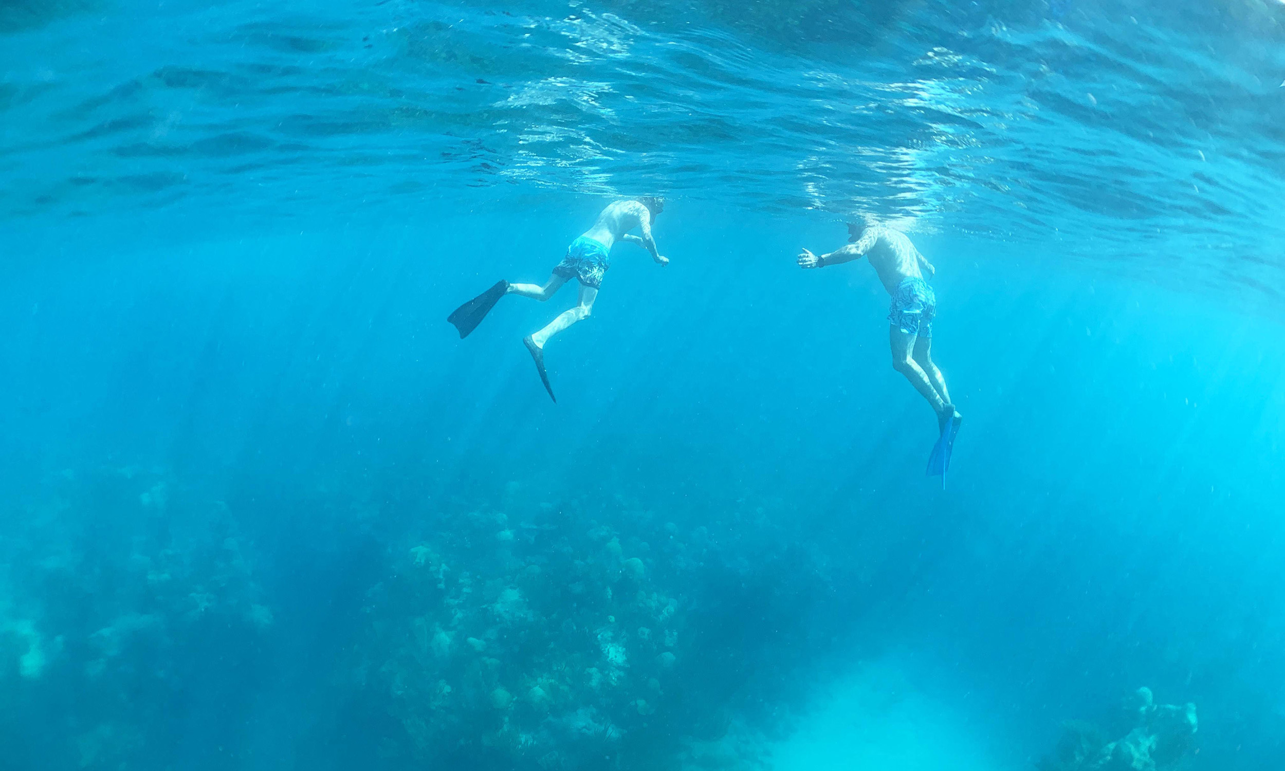 Two people swim underwater near the ocean surface, wearing snorkels, masks, and fins. Sunlight filters through the blue water, illuminating coral and marine life below them.