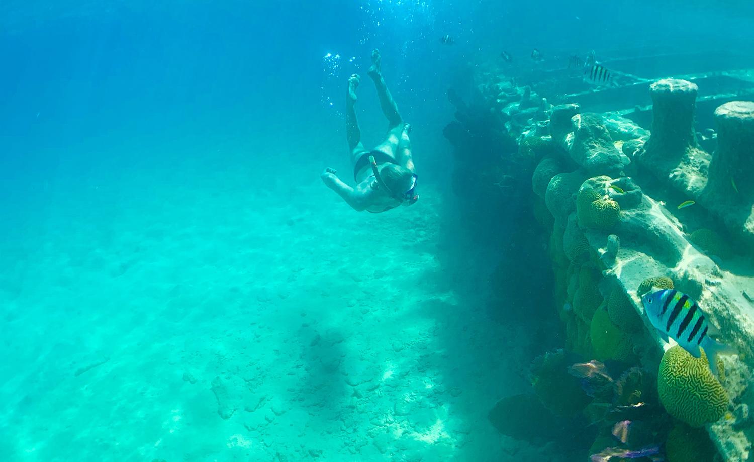 Snorkeler diving down to explore the shipwreck Sea Fern located on the eastern side of Bermuda.