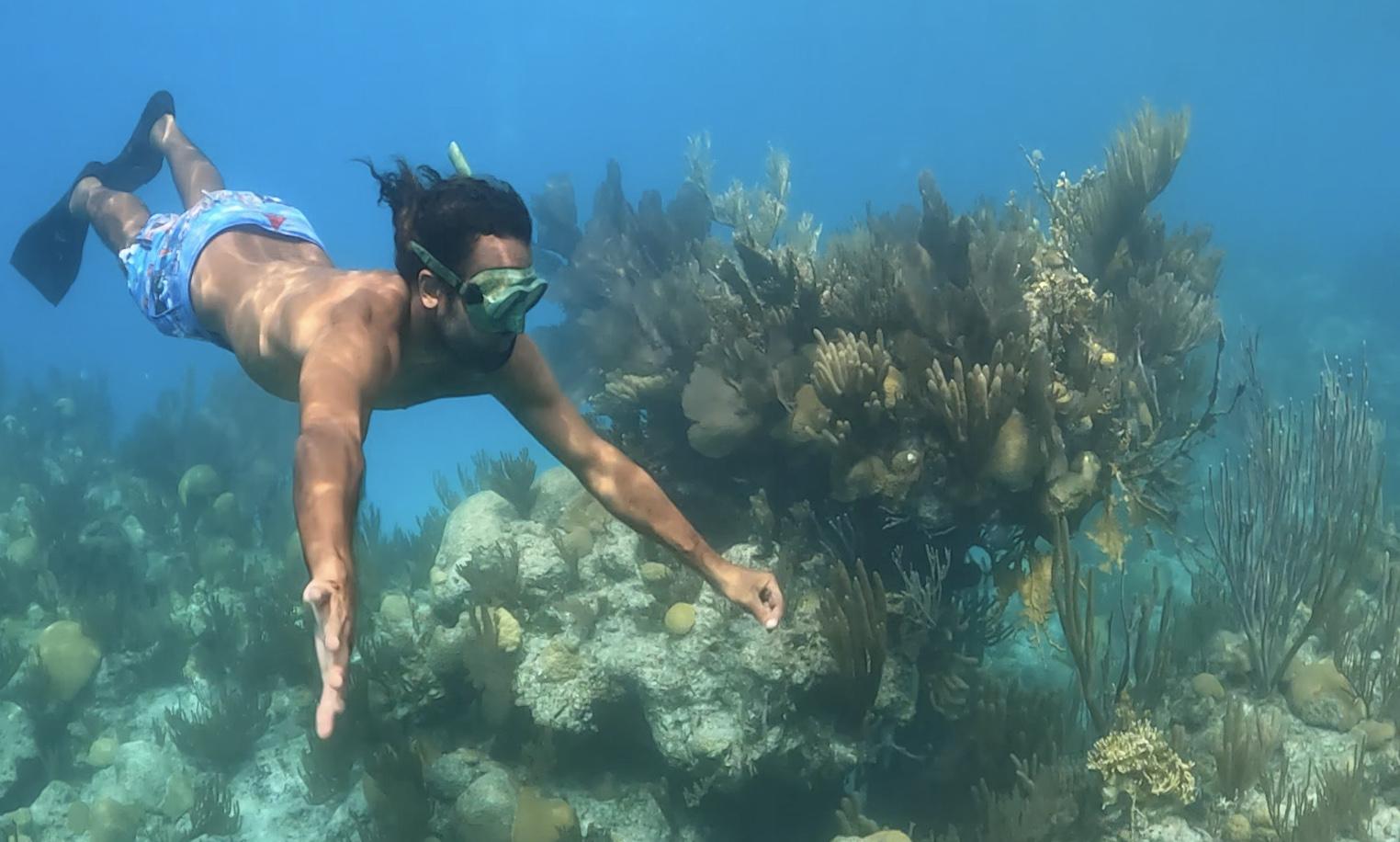 A snorkeler diving down by Eastern Blue Cut