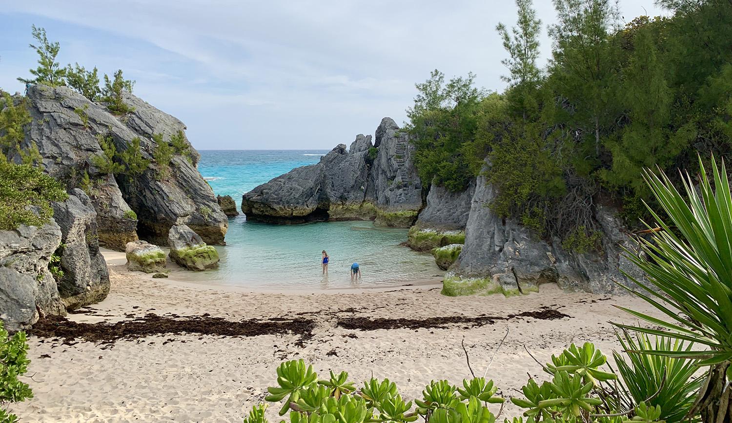 The image depicts Jobson's Cove on the South Shore. A tranquil and secluded beach perfect families with children..