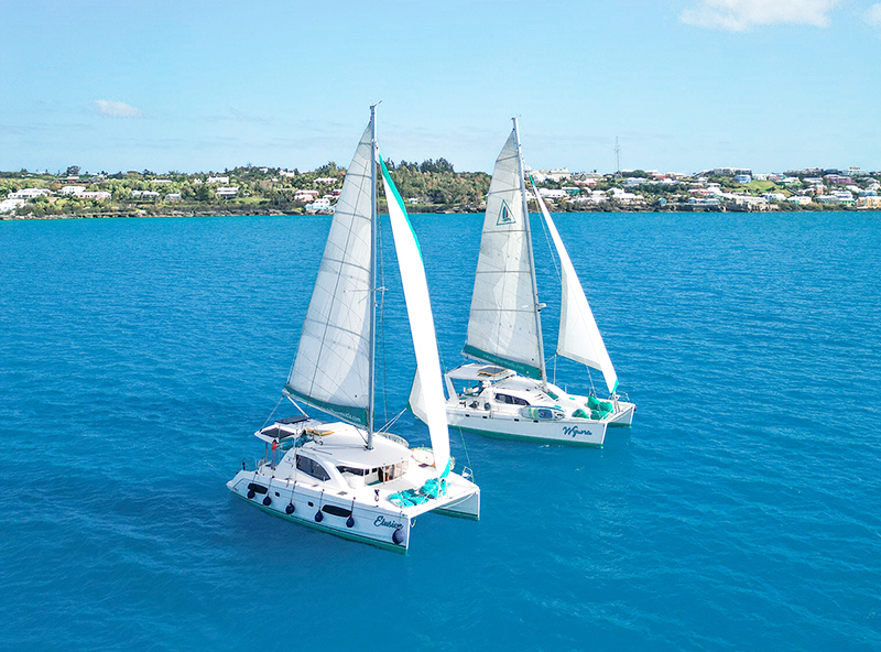 Two white Sail Bermuda catamarans with sails up float on bright blue water near a coastline with green trees and houses under a sunny, clear sky.